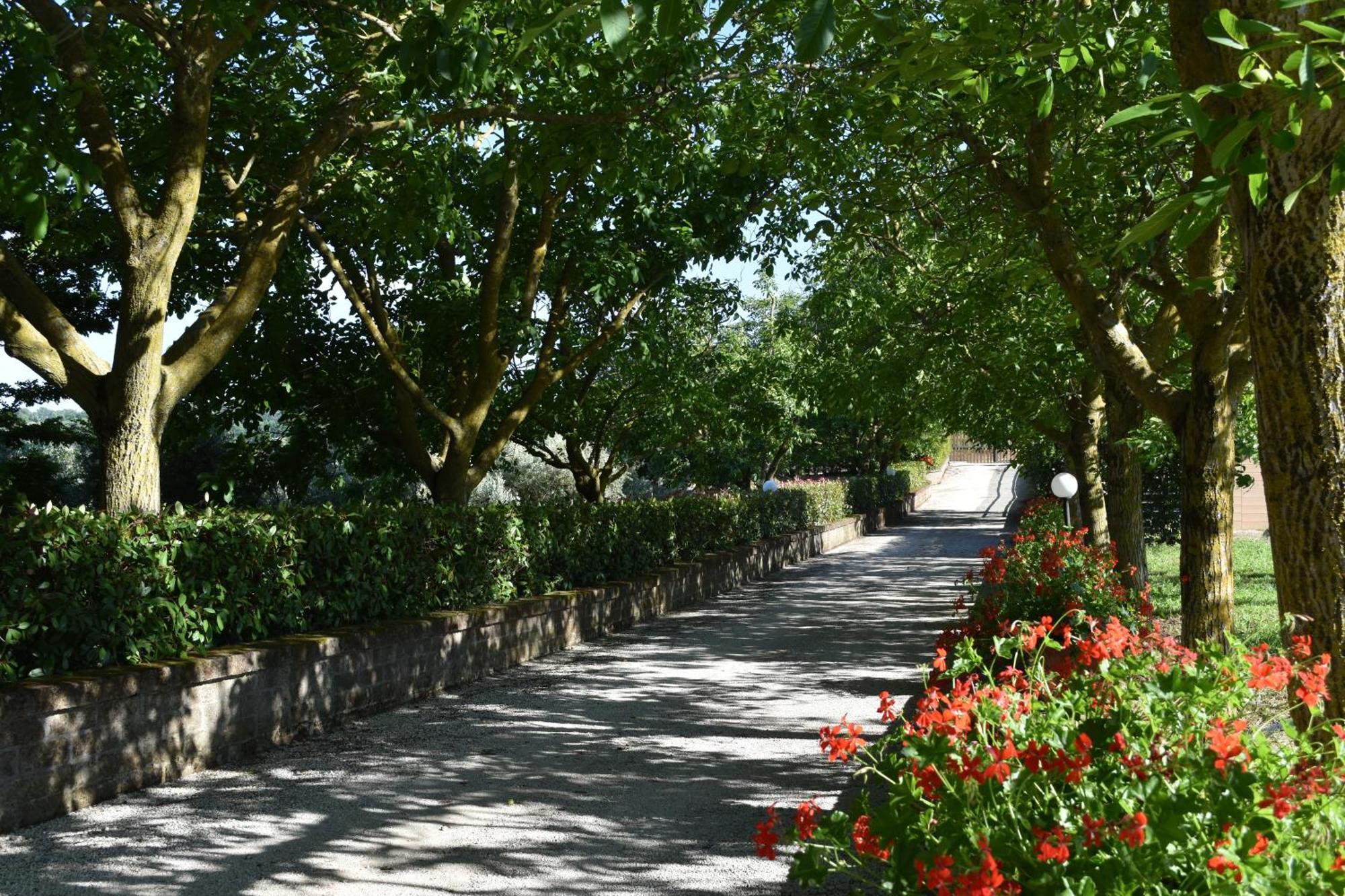 Agriturismo Le Ginestre Capodimonte Esterno foto